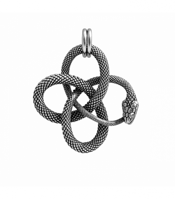 Pendentif en Acier 304 Serpent (Ouroboros) Ø37mm