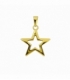 Pendentif Acier 304 Etoile Doré 17mm