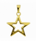 Colgante Acero 304 Estrella Dorado 30mm
