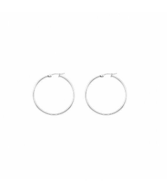 Créoles en Acier 304 Largeur 2mm Prix Par Paire