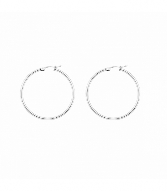 Créoles en Acier 304 Largeur 2mm Prix Par Paire