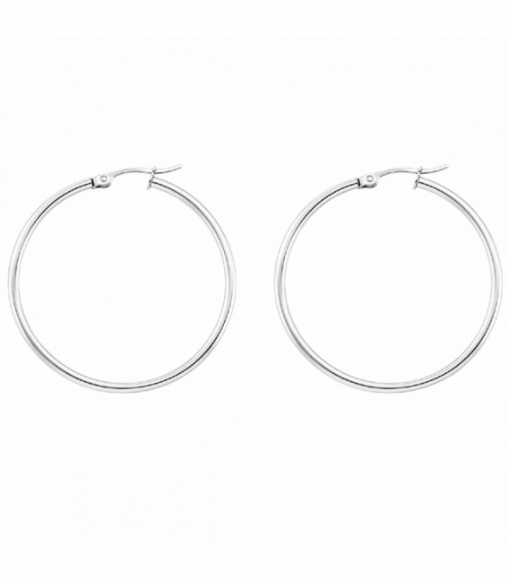 Créoles en Acier 304 Largeur 2mm Prix Par Paire