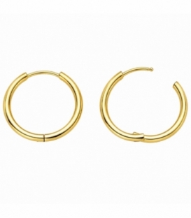 Créoles en Acier 304 Épaisseur 1.6mm Doré Prix Par Paire