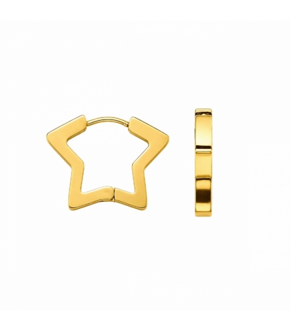 Créoles en Acier 304 Étoile Doré Prix Par Paire