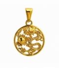 Colgante Acero 304 Dragon Dorado 18mm