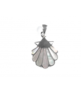 Coquille, Étoile de Mer